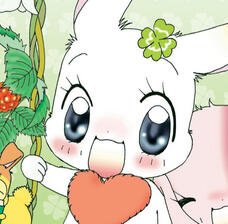 Clover (Happy Happy Clover)